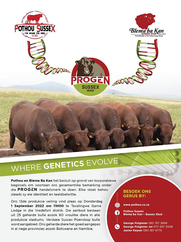 13de Produksieveiling - 15 September 2022