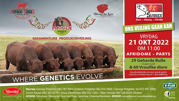 Veiling / Auction: 21 Oktober 2022 11:00